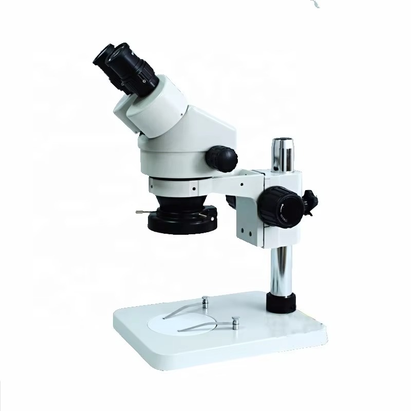 Venta Directa de Fábrica: Micr - Digital Microscope reseña y precio